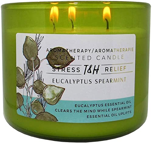 Stress Relief Aromatherapy Candle Eucalyptus Spearmint Scented Candle