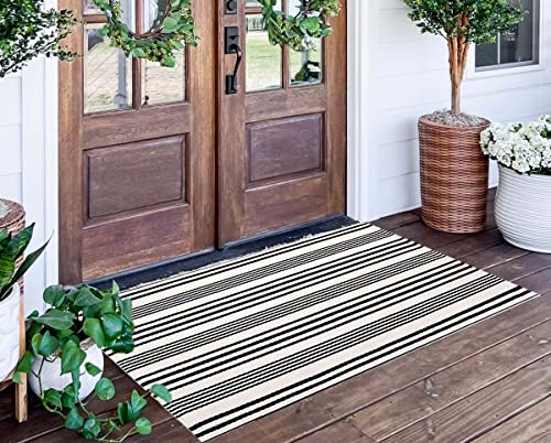 Striped Rug for Outdoor/Indoor Use
