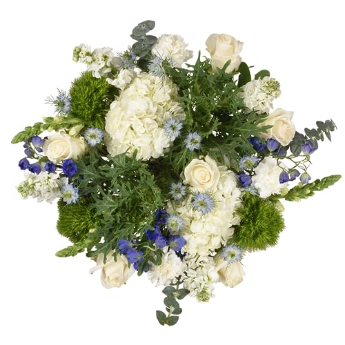 Stunning Floral Compass Bouquet of Fresh Cut Flowers - Prime Eligible