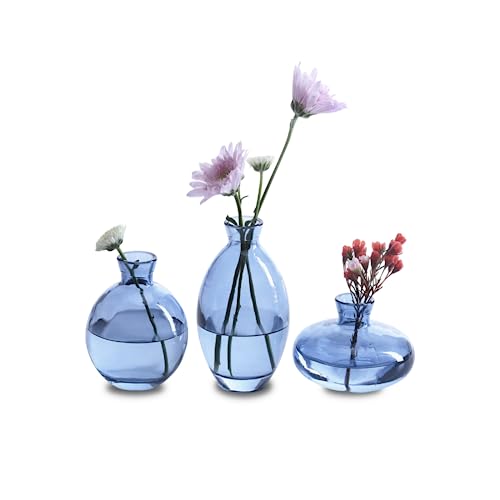 Stylish Blue Glass Bud Vases for Home Decor