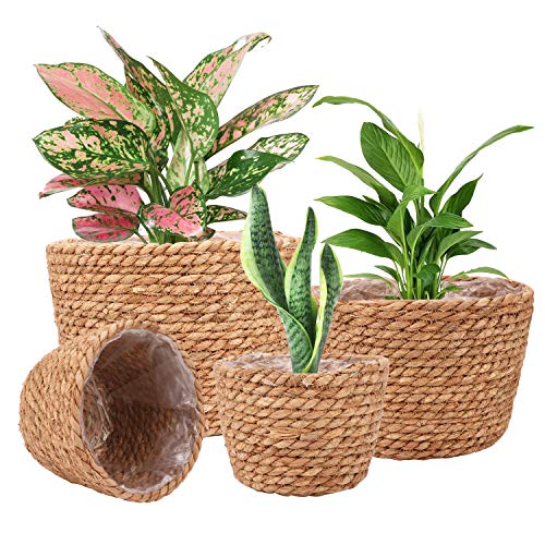 Stylish Planter Baskets for Indoor and Outdoor Plants