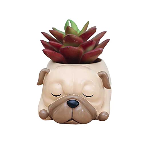 Succulent Pots, Cute Animal Pug Dog Shaped Air Plant Holder Flower Planters-Plants Not in Included