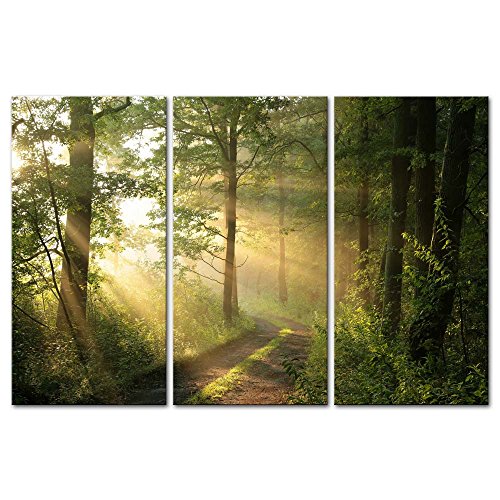 Sunshine Through Forest and Road Canvas Pictures Artwork