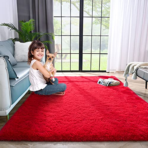 Super Soft Fluffy Fuzzy Rug for Bedroom