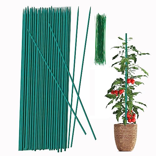 SupKing Garden Plant Stakes