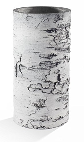 Surreal Birch Vase - BVS-12-CS-6