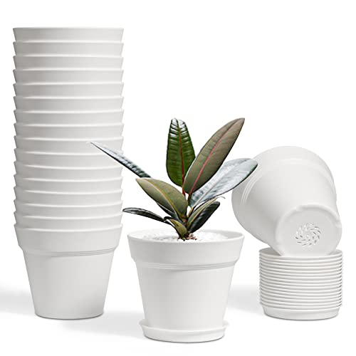 T4U 4 Inch Plant Pots - Small Plastic Planter with Drainage Hole and Saucer