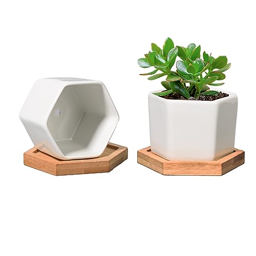 T4U Small White Succulent Planter Pots with Bamboo Tray Hexagon Set of 2, Geometric Cactus Plant Holder Container for Home Office Table Desk Decoration for Mom Aunt Sisiter Daughter