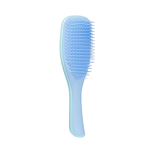Tangle Teezer Detangling Brush for All Hair Types