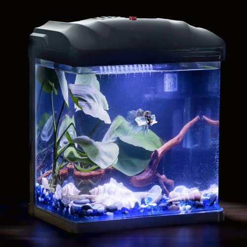 TARARIUM Glass Betta Fish Tank