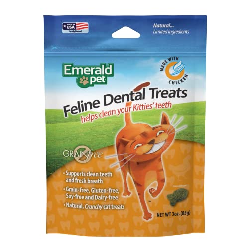 Tasty and Crunchy Cat Dental Treats