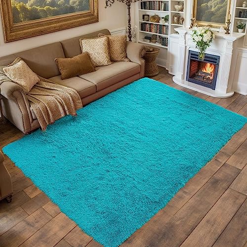 Teal Area Rugs for Living Room Super Soft Carpet
