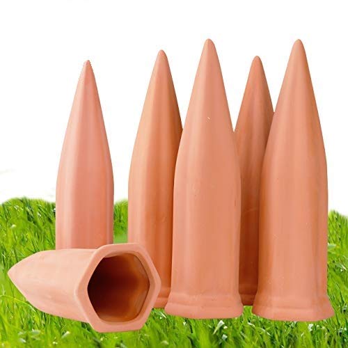 Terracotta Plant Watering Devices