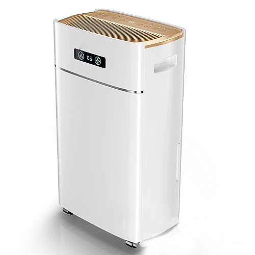 THAMBA Dehumidifier and Air Purifier Combo