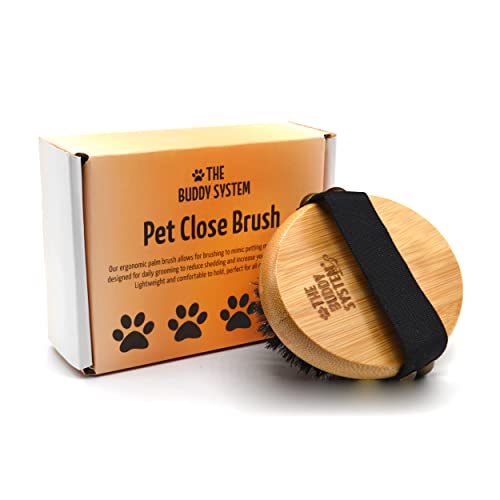 The Buddy System Pet Close Brush