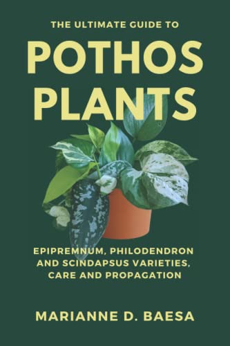 The Ultimate Guide to Pothos Plants