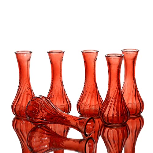 Tiny Red Glass Vases for Floral Arrangements and Home Decor