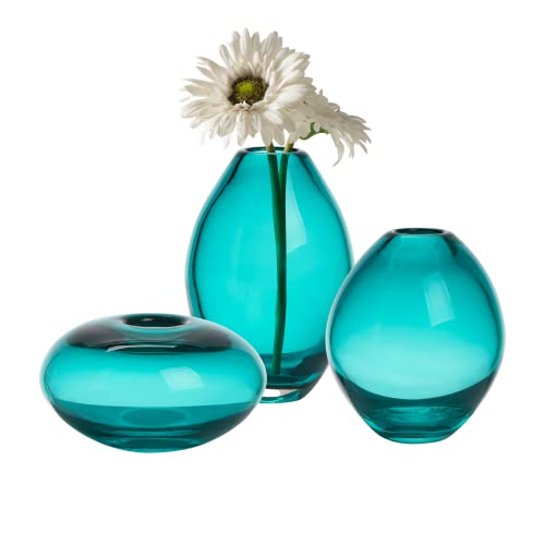 Torre & Tagus Mini Glass Vases