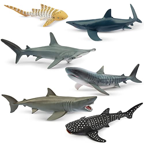 Toymany 6PC Realistic Shark Figurines Set
