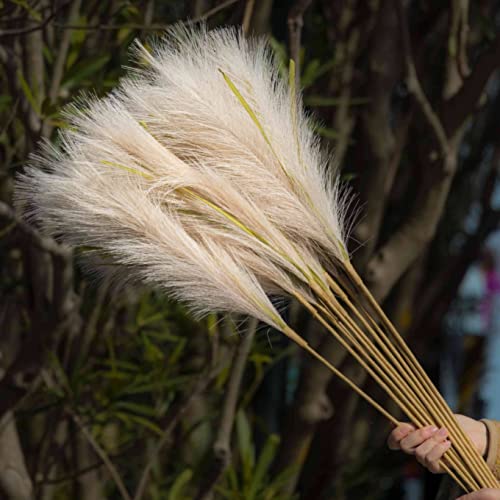 TuKLUT 32" 6PCS Faux Pampas Grass: Versatile and Elegant Decor