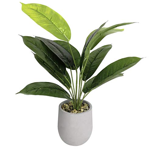 Tuokor 16" Small Artificial Greenery Plants