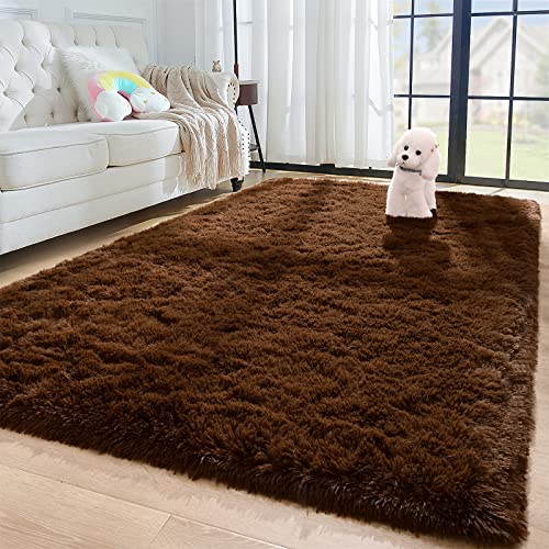 Ultra Soft Area Rugs for Bedroom Dorm