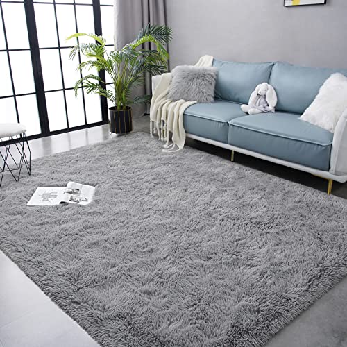 Ultra Soft Fluffy Area Rug for Bedroom Living Room Home Decor