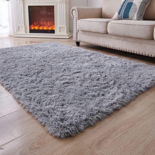 Ultra Soft Plush Area Rug for Home Decor