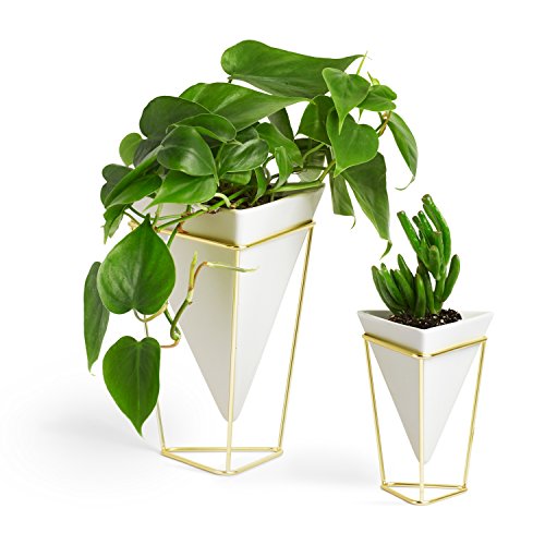 Umbra Trigg Desktop Planter Vase & Geometric Container