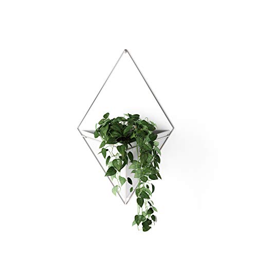 Umbra Trigg Hanging Planter Vase