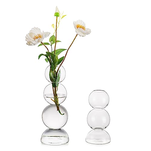 Unique Glass Bubble Vases for Flowers