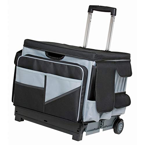 Universal Rolling Cart with Canvas Organizer Bag