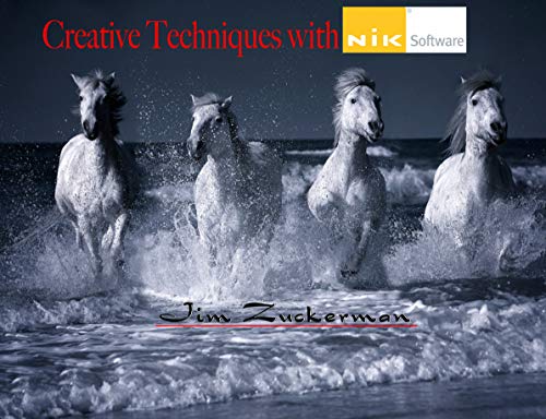 Unleash Your Creativity with Nik Software