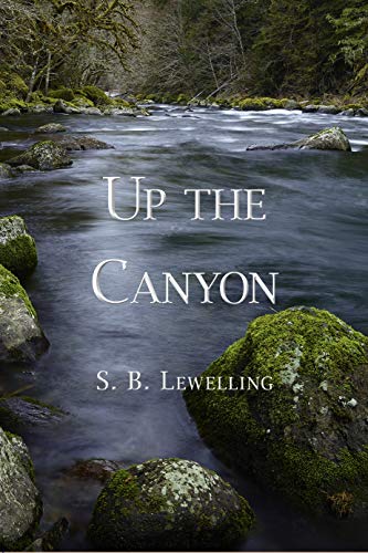 Up the Canyon - A Thrilling Mystery Novel