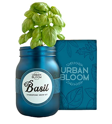 Urban Bloom Hydroponic Herb Growing Kit