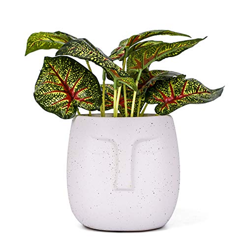 VanEnjoy 5.5 Inches White Ceramic Head Face Planter Pot for Plants