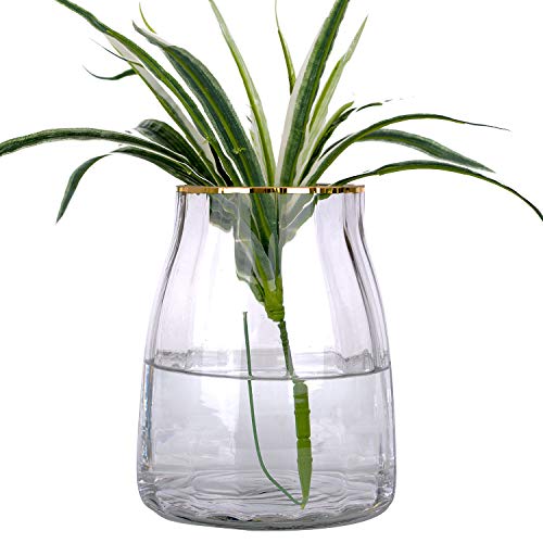 VanEnjoy 7 inch Clear Simple Grey Glass Flower Vase, Decorative Gilded Rim Vase Home Decor for Indoor Centerpiece