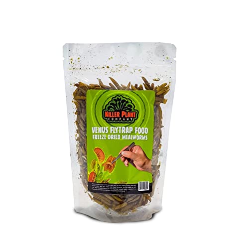 Venus Fly Trap Food - Freeze Dried Meal Worms