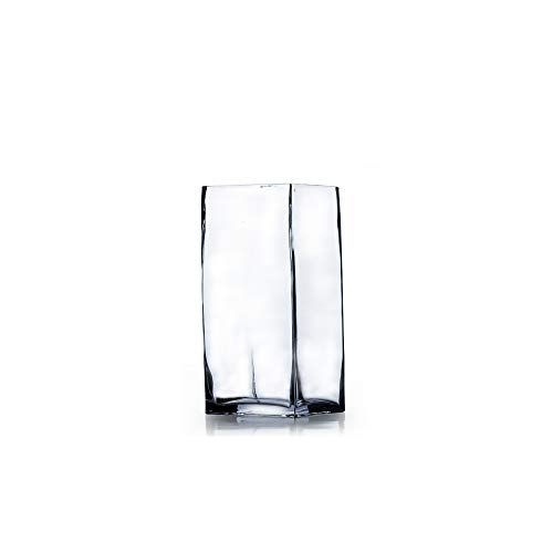 Versatile and Elegant WGV Tall Square Glass Vase