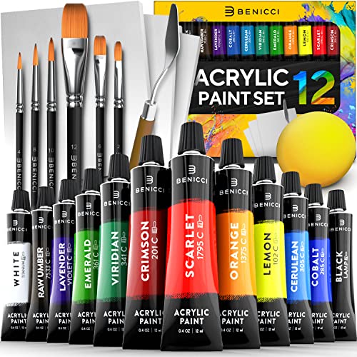 Vibrant Acrylic Paint Set with Brushes and Canvases