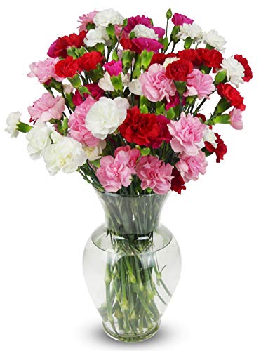 Vibrant Rainbow Mini Carnations: Long-lasting and Convenient Floral Gift