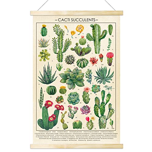 Vintage Cacti Succulents Poster Wall Art Prints