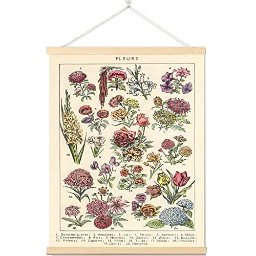 Vintage Flower Wall Art