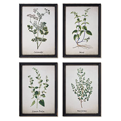 Vintage Framed Botanical Art - NELONY Herbs Kitchen Wall Art Prints Decor