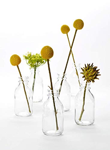 Vintage-inspired Glass Milk Bottle Bud Vases