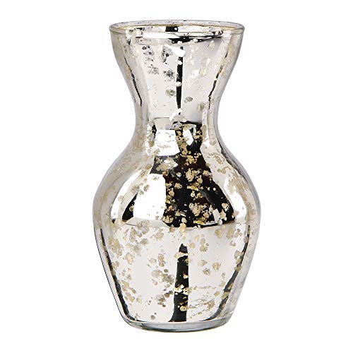 Vintage Mercury Glass Vase