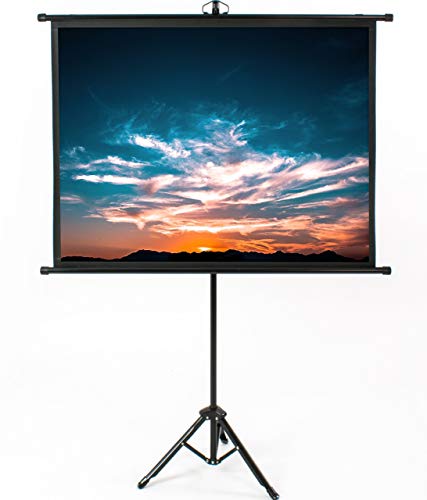 VIVO 50 inch Mini Portable Projection Screen