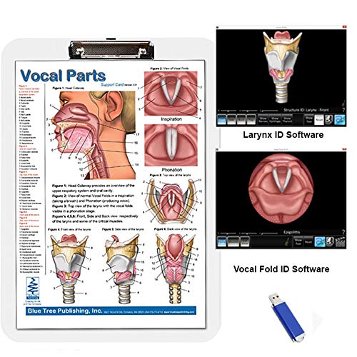Vocal Parts Insert Clipboard with Larynx and Vocal fold Animation Software