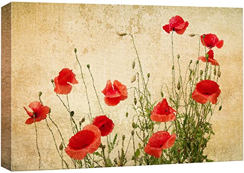 wall26 Canvas Wall Art - Red Poppy Flowers