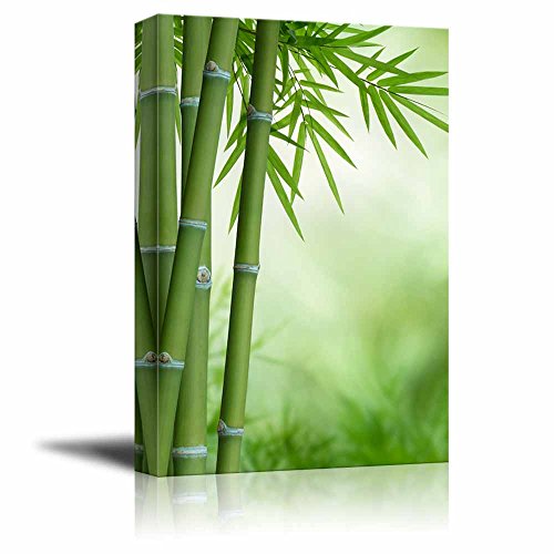 wall26 Green Bamboo Stalks and Leaves Canvas Print